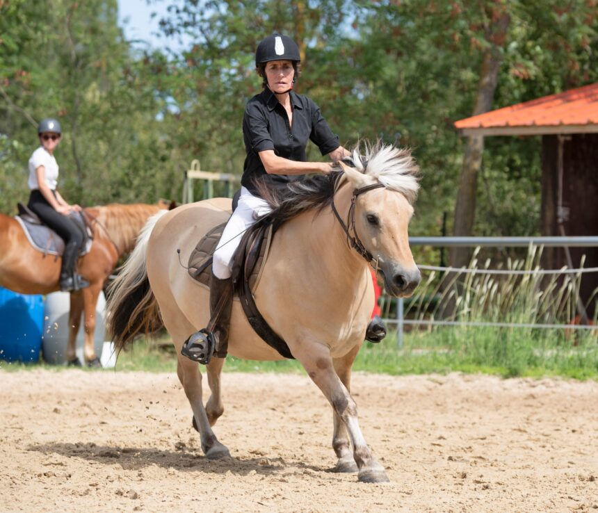 riding girl and horse